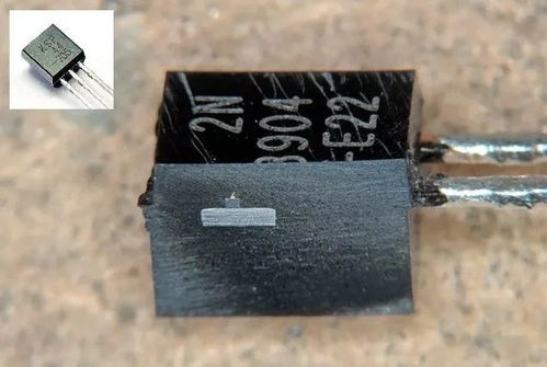 天天都在用电子元器件,里面长什么样想看看吗